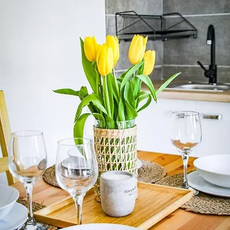 Goscinne Malinowka Rum i privatbostad Krościenko